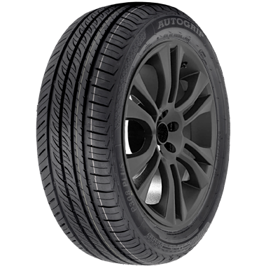 195/65 R 15 91V P308PLUS AUTOGRIP